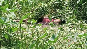 বরিশালে অজ্ঞাত যুবকের ক্ষতবিক্ষত লাশ উদ্ধার